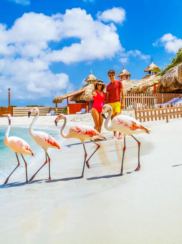 PLAN DE VIAJE A URABA DESDE MEDELLINDELLIN