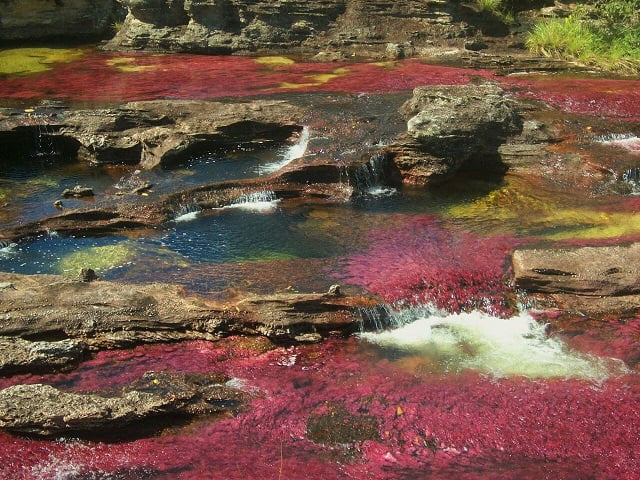 Plan a Caño Cristales desde Medellín con viajes de Pueblo en Pueblo