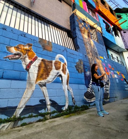 Constelaciones Medellin