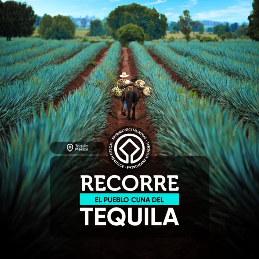 VIAJES A MEXICO DESDE COLOMBIA