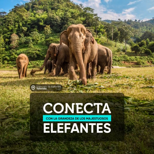 PLAN DE VIAJE A TAILANDIA FIN DE AÑO DESDE COLOMBIA