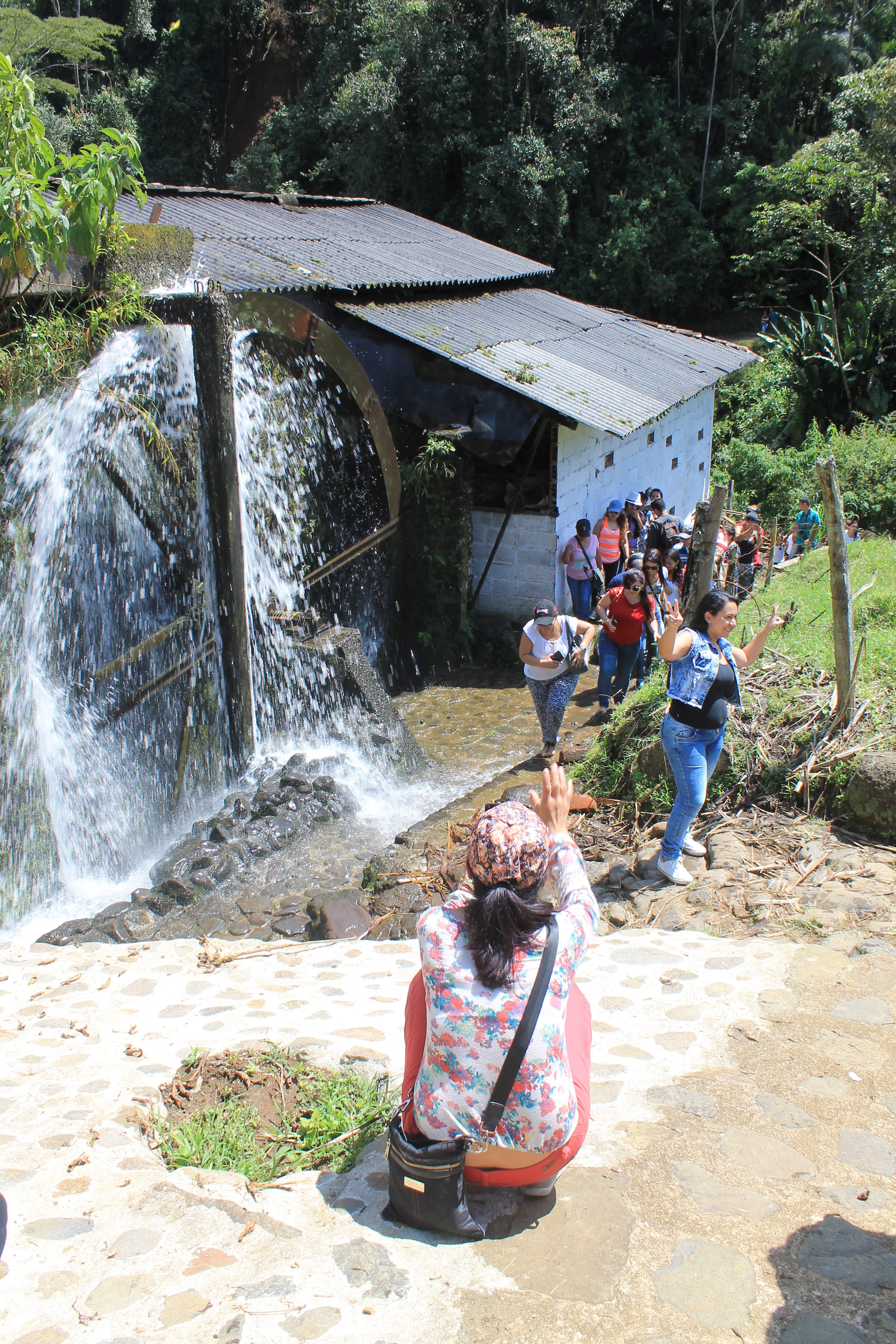 Truchera La Argelia jardín