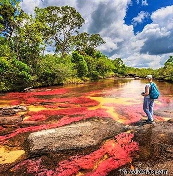 caño cristales