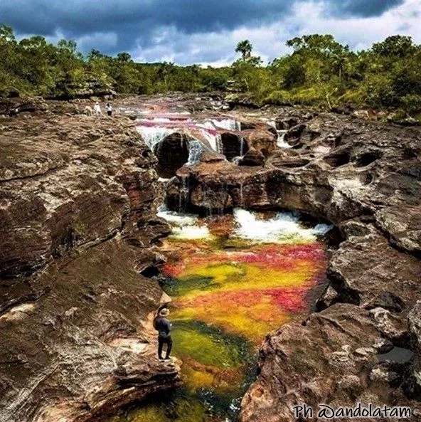 Plan a Caño Cristales desde Medellín con viajes de Pueblo en Pueblo