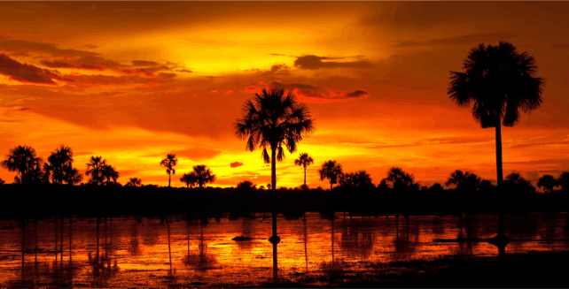 excursion llanos Orientales