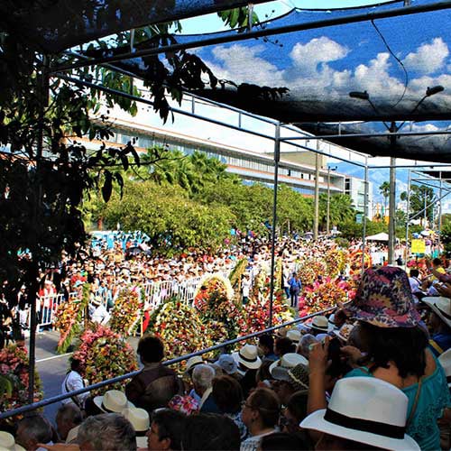 palco desfile de flores