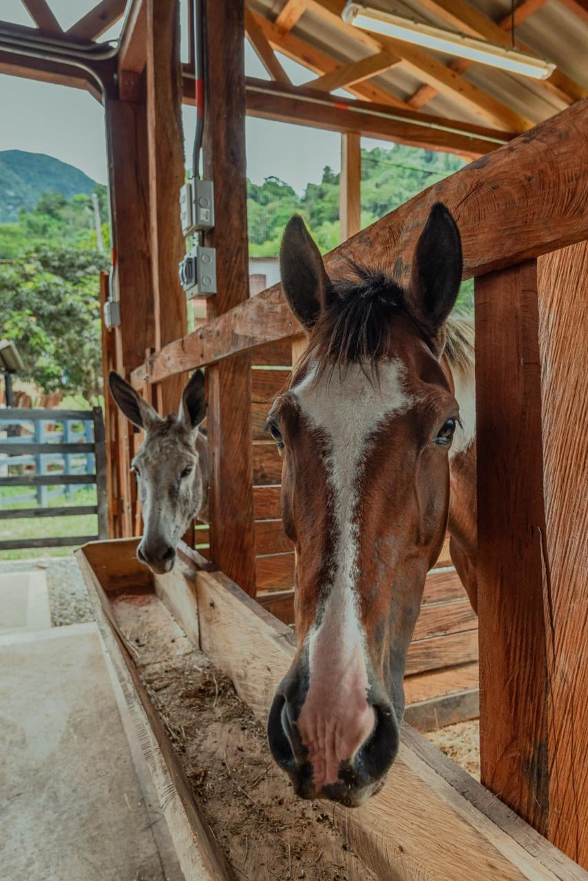 Granja Hostería Campestre Venecia Antioquia
